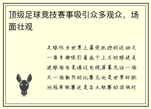顶级足球竞技赛事吸引众多观众，场面壮观