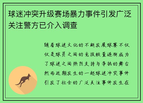 球迷冲突升级赛场暴力事件引发广泛关注警方已介入调查
